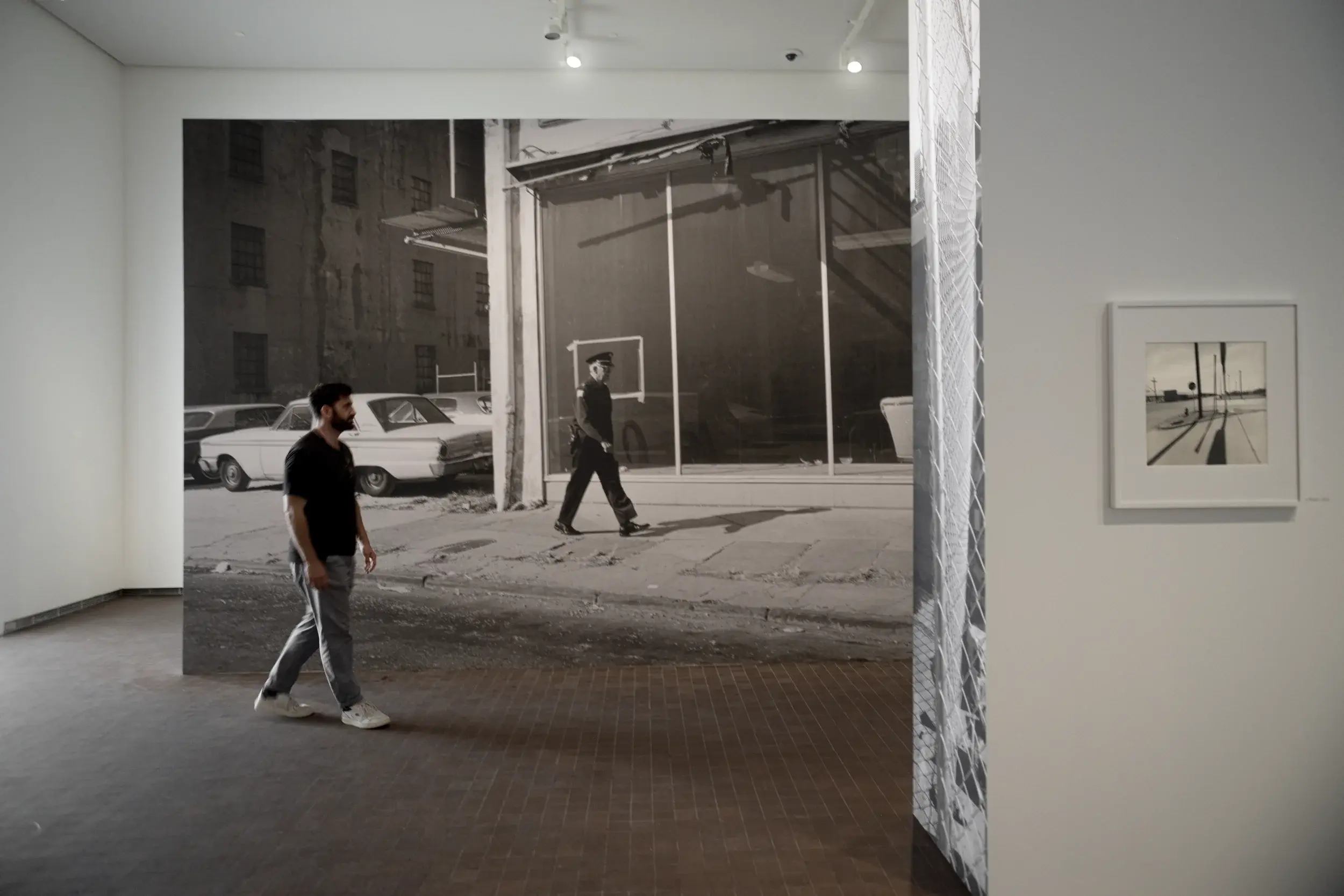 Lee Friedlander Framed by Joel Coen - LUMA Arles